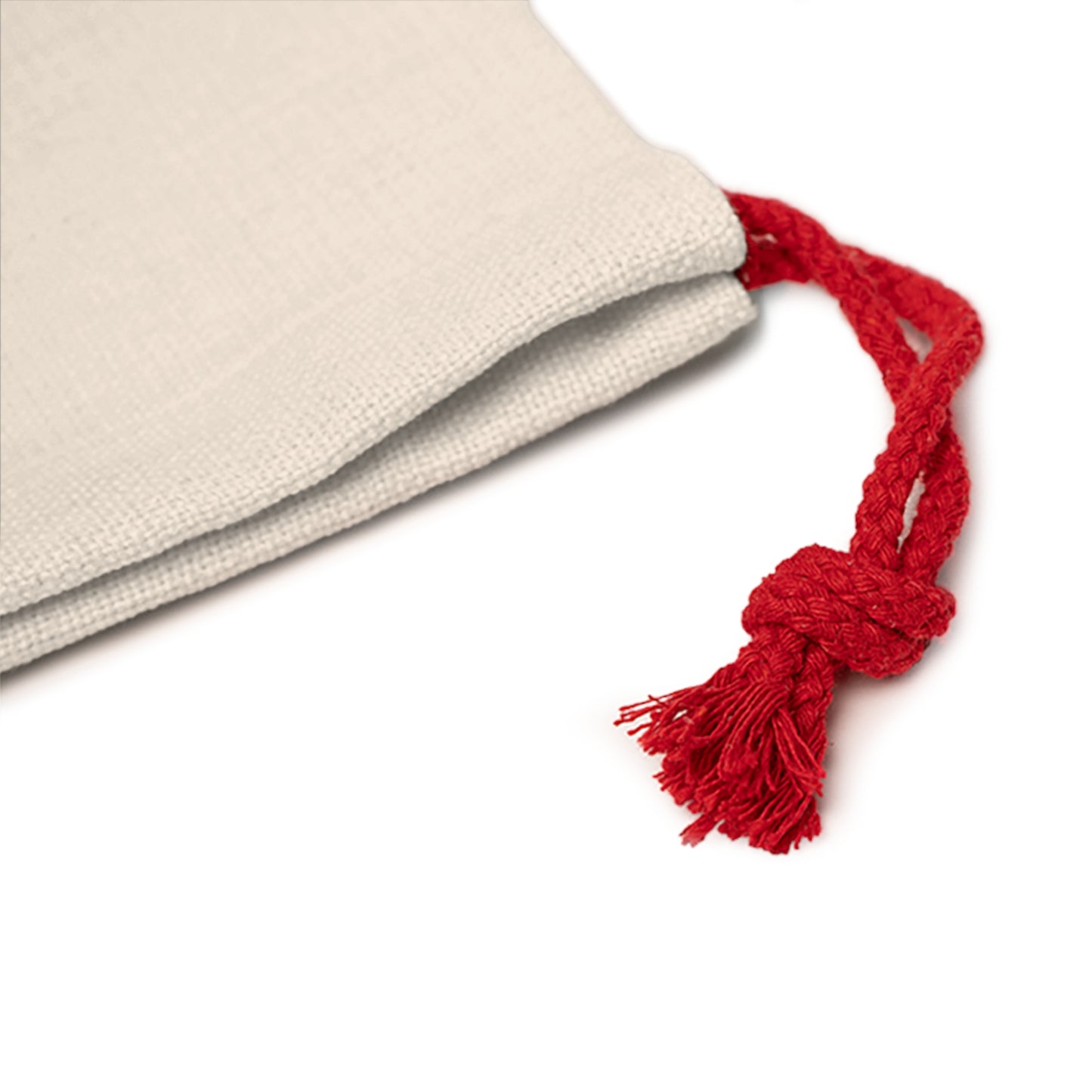 Santa Express Delivery Gift Bag