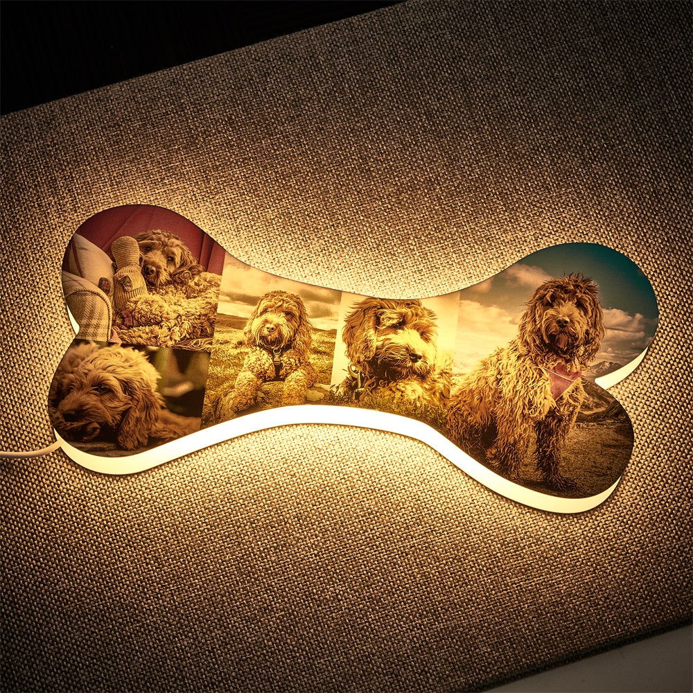 Personalized bone night light with 5 pictures, warm LED light and USB powered.