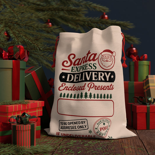 Santa Express Delivery Gift Bag